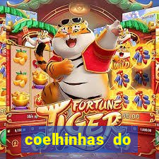 coelhinhas do brasil acompanhantes